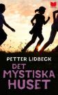 Det mystiska huset