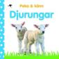 Djurungar