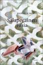 Salaperäinen rasia