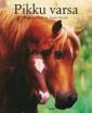 Pikku varsa