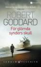 För glömda synders skull