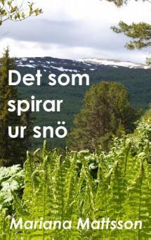 Pärmbild