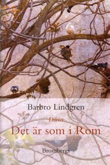 Pärmbild