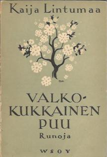Pärmbild